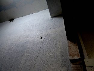 Vistoria de vizinhança
